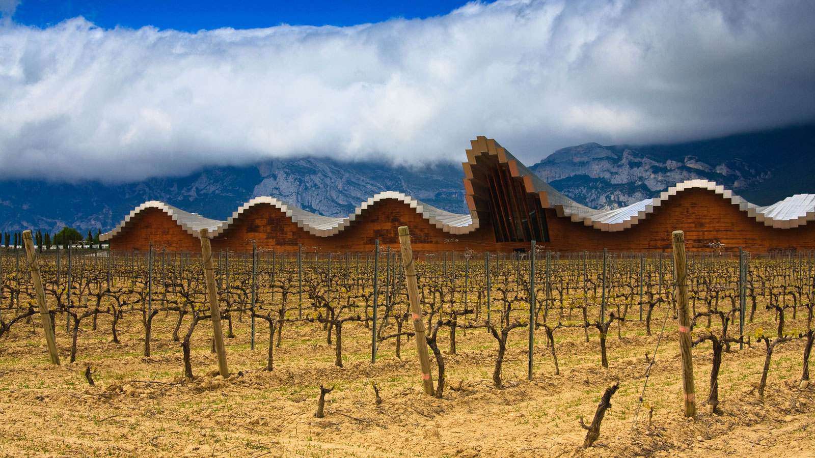 Rioja Wine Region